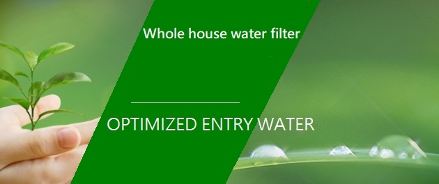 whole house water filtration